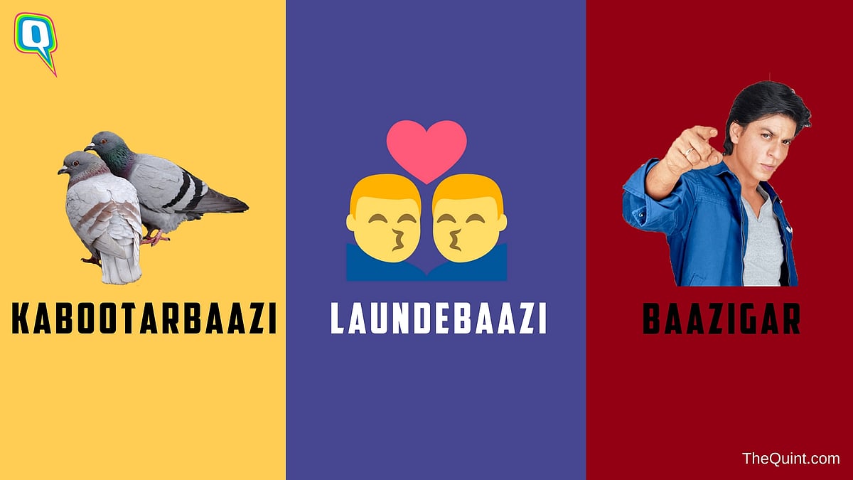 Kabootarbaazi, Laundebaazi, Baazigar The Many Meanings of Baazi